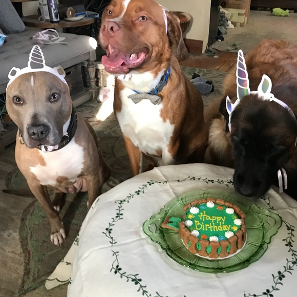 Meet your Posher, Adrienne - Picture 4 of 4